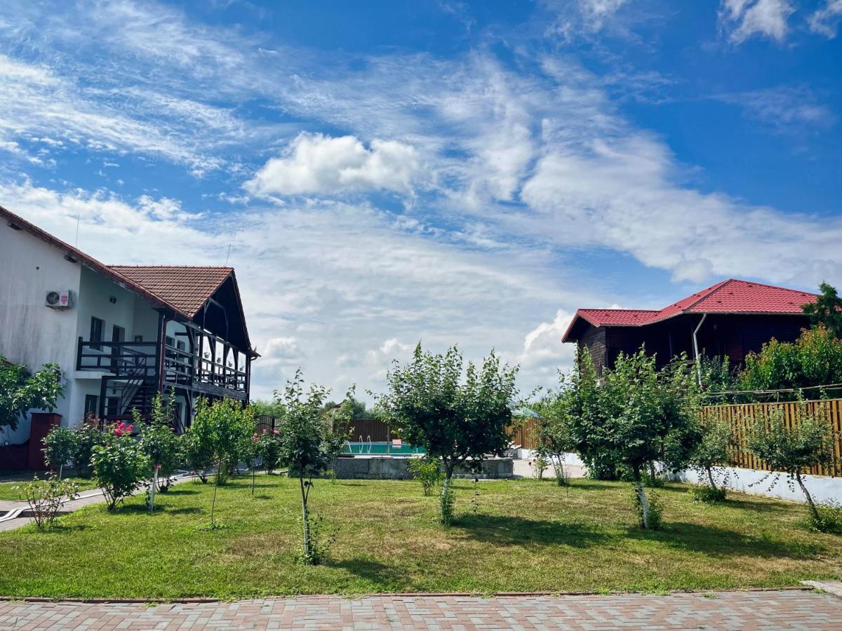 Pensiunea Crisan Luaran gambar